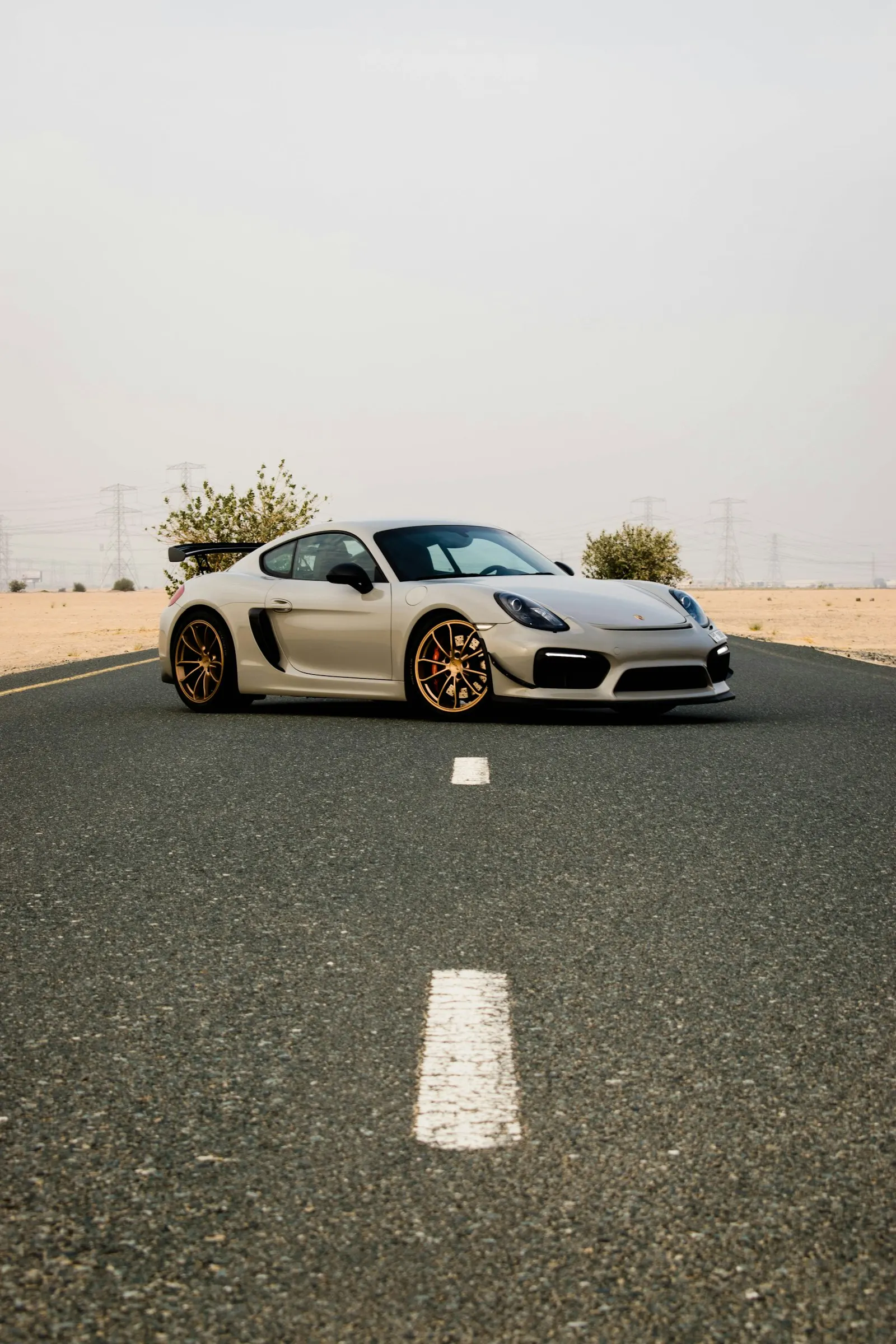 Porsche 718 Cayman GT4, detail 2